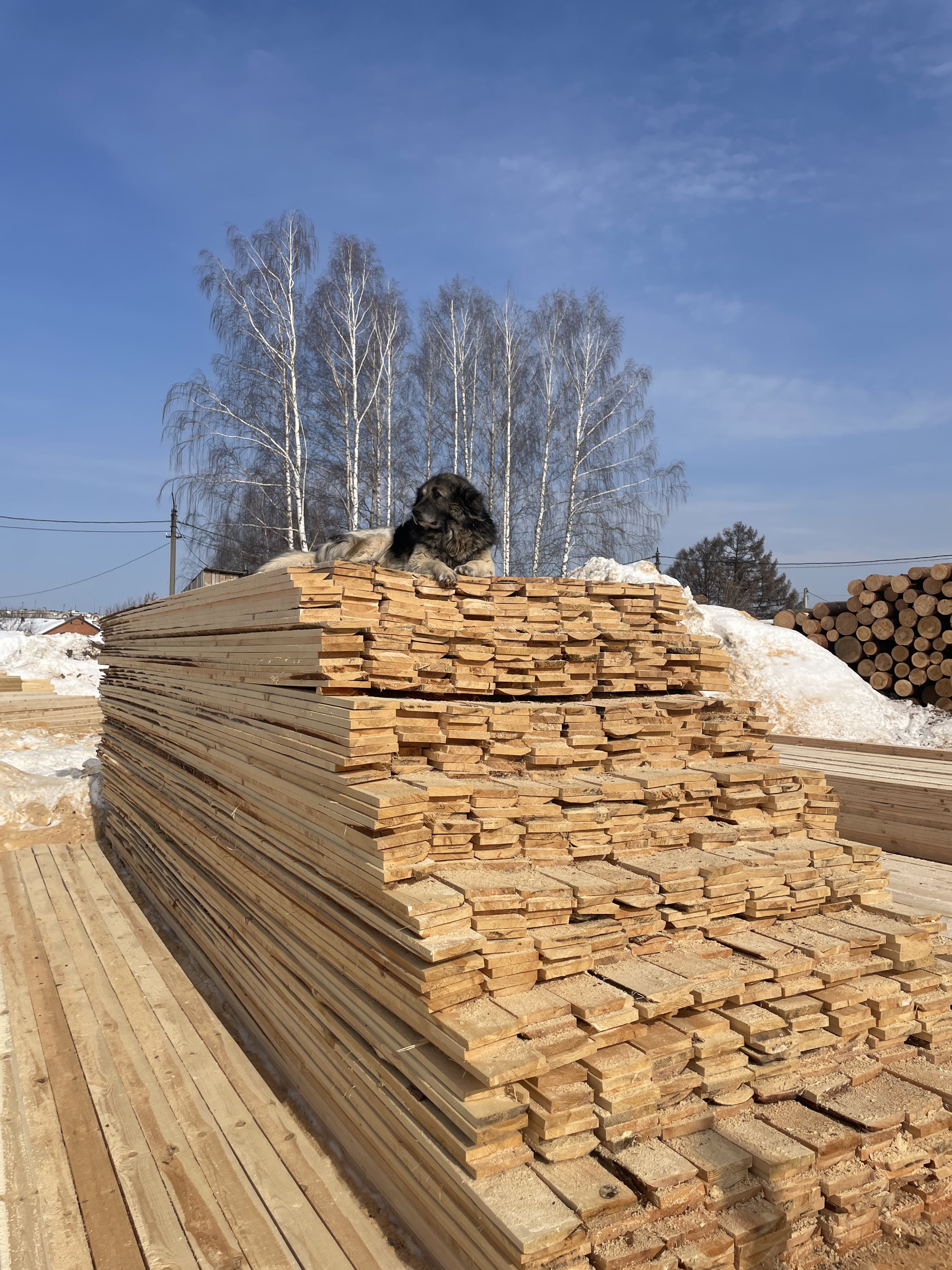 Обрезная доска на складе Марий Лес Йошкар-Ола — штабель сосновой доски 25х100, 50х150